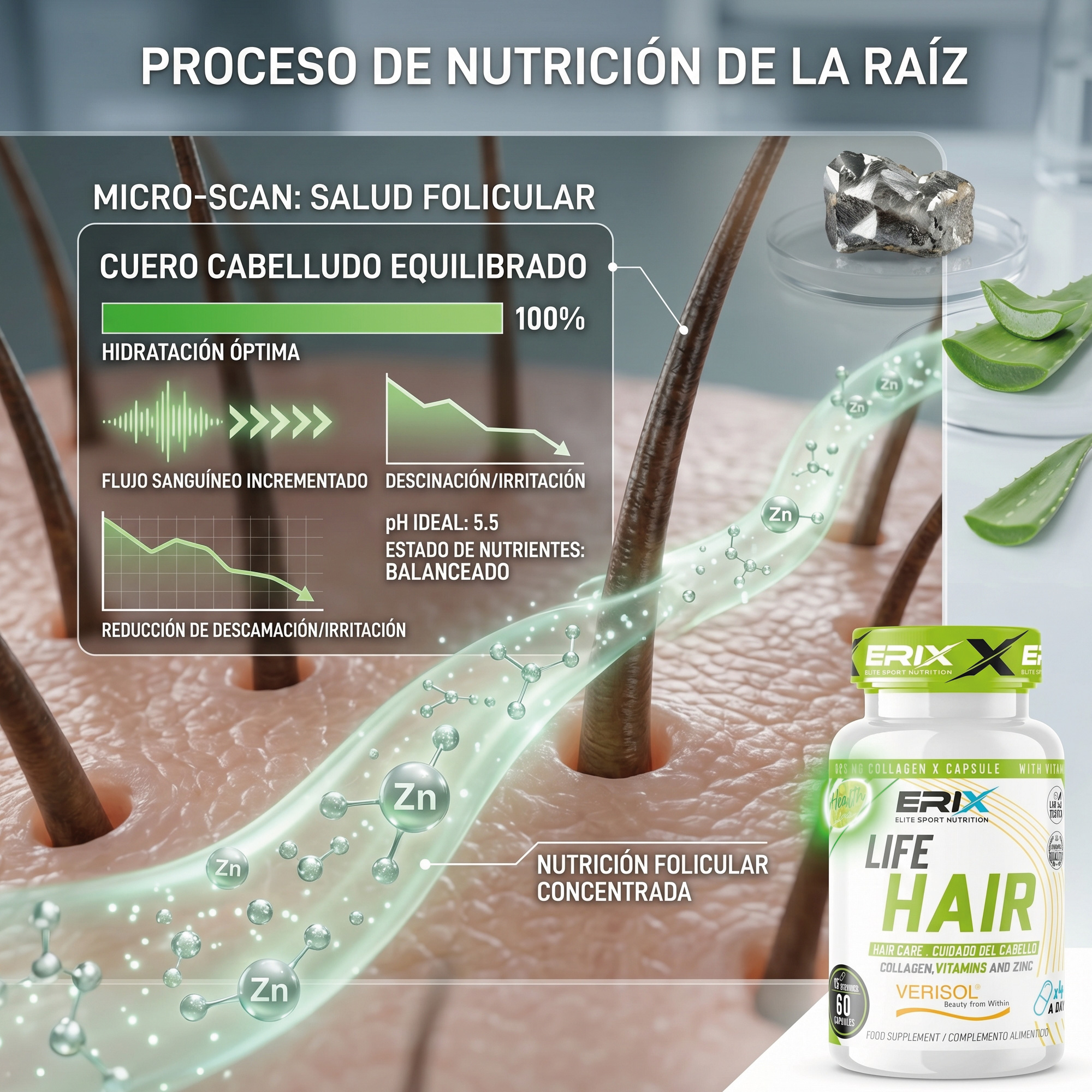 Nutrición desde el Interior